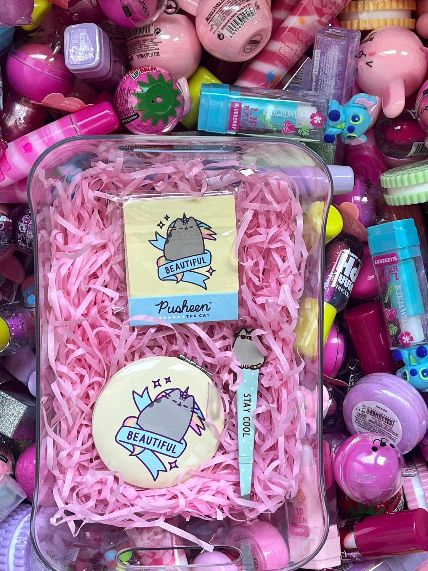 🎀 PACK PUSHEEN MYSTERY 🎀