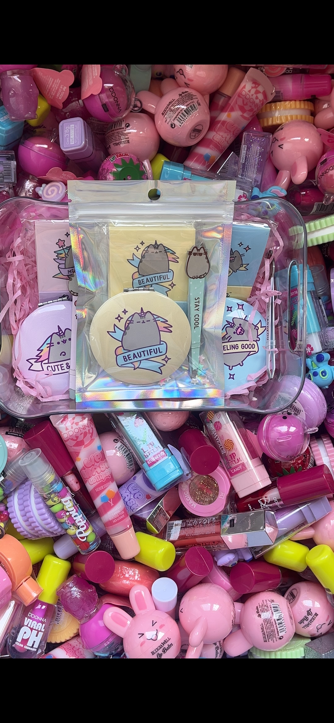 🎀 PACK PUSHEEN MYSTERY 🎀